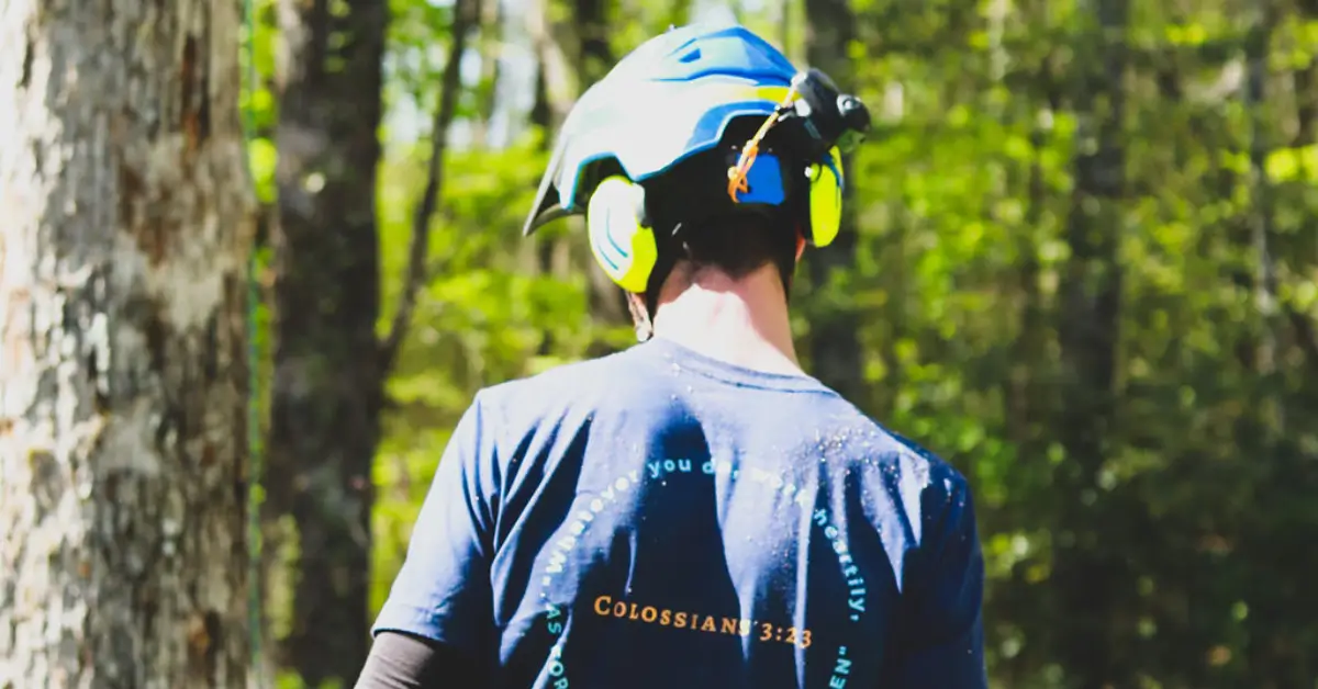 Tree Planting in Western North Carolina